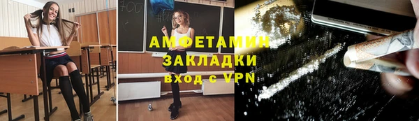 ПСИЛОЦИБИНОВЫЕ ГРИБЫ Ельня