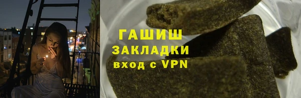 ПСИЛОЦИБИНОВЫЕ ГРИБЫ Ельня