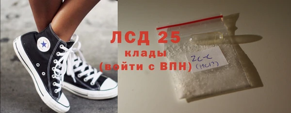 ПСИЛОЦИБИНОВЫЕ ГРИБЫ Ельня