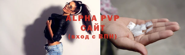 ПСИЛОЦИБИНОВЫЕ ГРИБЫ Ельня
