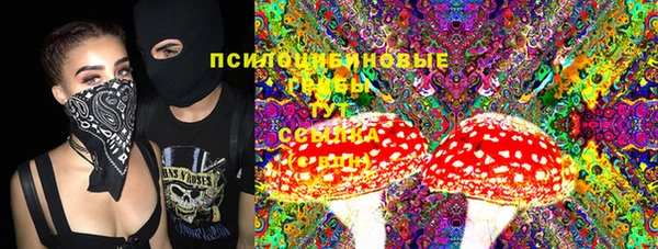 прущий лед Елабуга