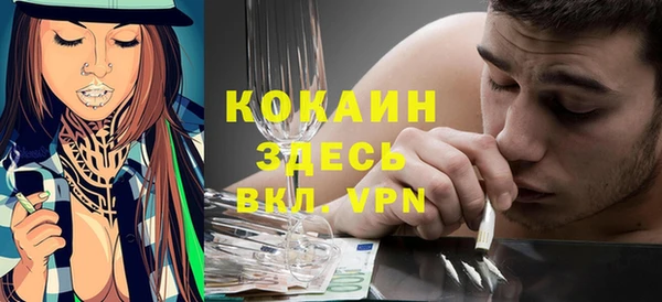 ПСИЛОЦИБИНОВЫЕ ГРИБЫ Ельня