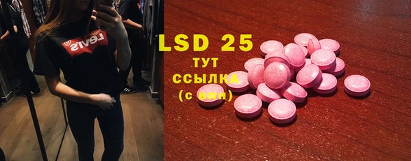 ПСИЛОЦИБИНОВЫЕ ГРИБЫ Ельня