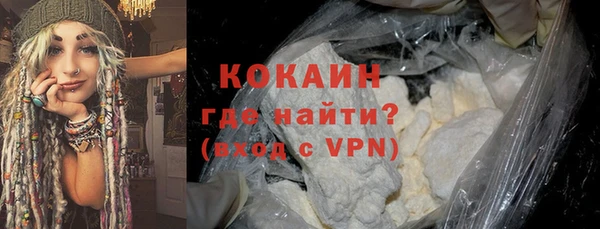 ПСИЛОЦИБИНОВЫЕ ГРИБЫ Ельня