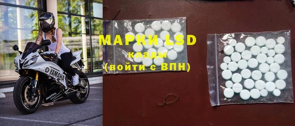 ПСИЛОЦИБИНОВЫЕ ГРИБЫ Ельня