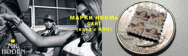ПСИЛОЦИБИНОВЫЕ ГРИБЫ Ельня