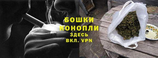 ПСИЛОЦИБИНОВЫЕ ГРИБЫ Ельня