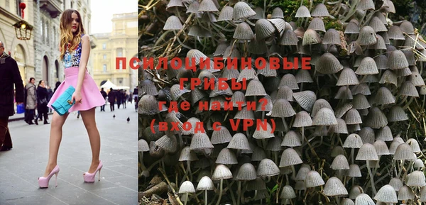 ПСИЛОЦИБИНОВЫЕ ГРИБЫ Ельня