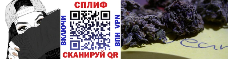 Канабис сатива  Купить где  Кола 